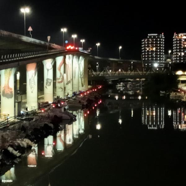 Riflessi sul fiume Pescara - Irene Di Mascio